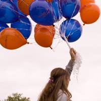 Keep on Bridging the Gap