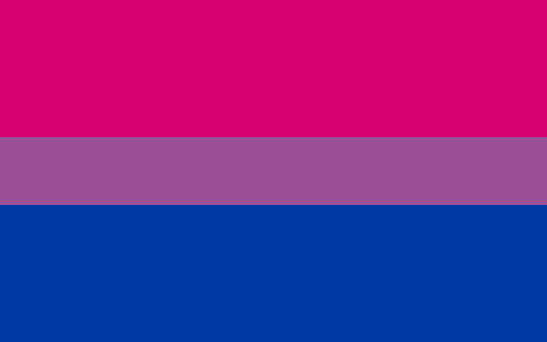 The Bisexual Pride flag, with a large pink stripe at the top and a large blue st