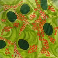 Mitochondria and the great gender divide