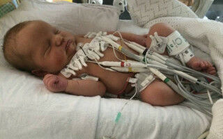 New blood test could prevent sudden child deaths caused by hereditary heart condition