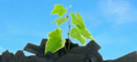 New life for old coal