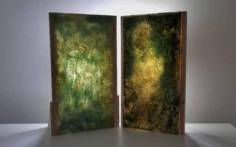 Two translucent rectangular panels with algae living on a structure inside - Ima