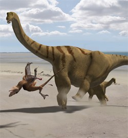 Reconstruction of Brontomerus mcintoshi in combat with a predator.�  Credit:  Fr