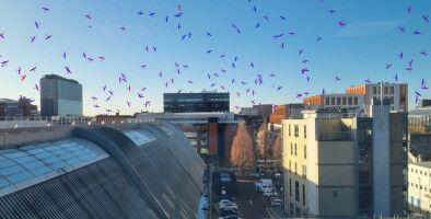 Environment - Astronomy & Space