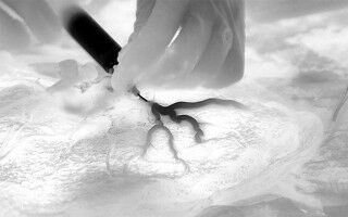 New UCL hubs to focus on innovative healthcare research in major new funding award