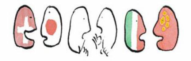 Open courses - languages for life: enrol now