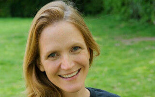 Opinion: Don't let wasps spoil your jubilee picnic