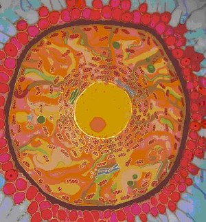 The Beginning of a Self  by  Odra Noel