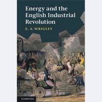 Reassessing the industrial revolution