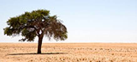 Rethinking global development