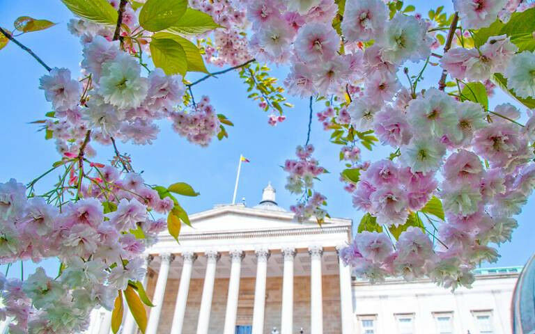 The Quad in spring, with pink blossom in the foreground