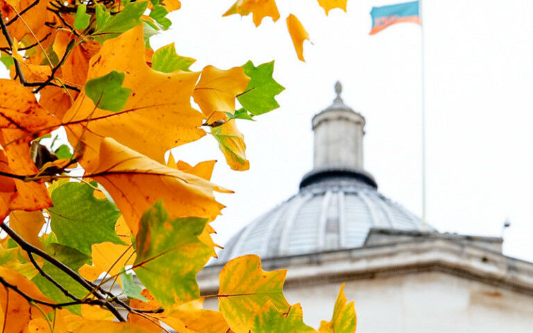 The UCL Quad building with orange autumn leaves in front of it