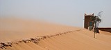 The University of Leeds is to lead a �1m project to study the giant desert storm