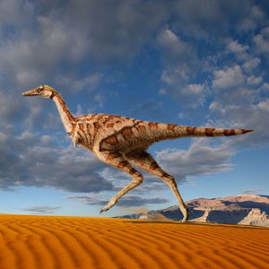 Artist&rsquo;s impression of    Linhenykus
monodactylus, � Julius T. Csotonyi