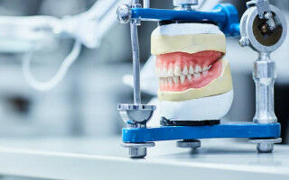 The mouth: our gateway to good health and happiness