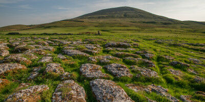 Transforming barren landscape into a nature haven