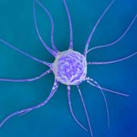 UCL named 'centre of excellence' in cancer research