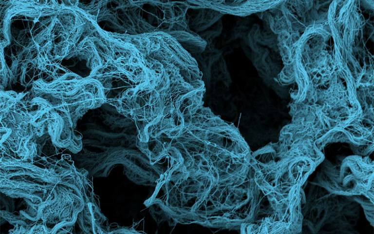 Extracellular matrix