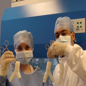(Top) Claire Crowley and Professor Seifalian with the synthetic windpipe. (Botto