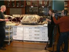 UCL&rsquo;s multimedia team film an interview in the Grant Museum