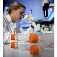 UK not investing enough in research into multi-drug resistant infections