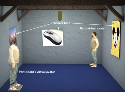 Virtual reality scene showing the participant&rsquo;s and the rat&rsquo;s virtua