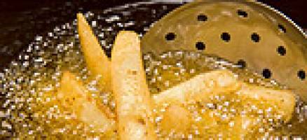 Waste chip fat fuels hydrogen economy