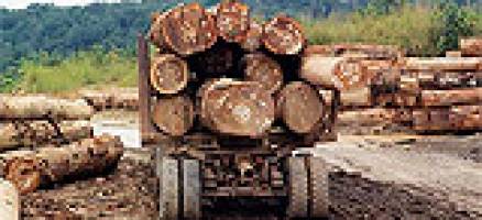 Waves of deforestation across East Africa