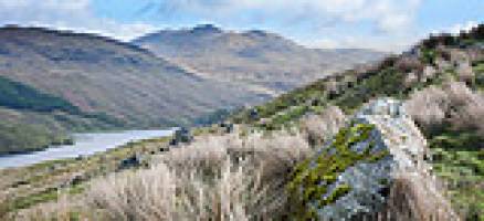 What do the UK uplands mean to you?