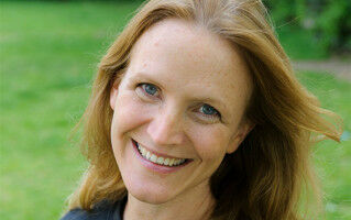 Where the UK's wasps have gone and why they need your help