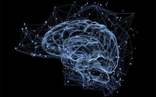 Why consciousness may have evolved to benefit society rather than individuals